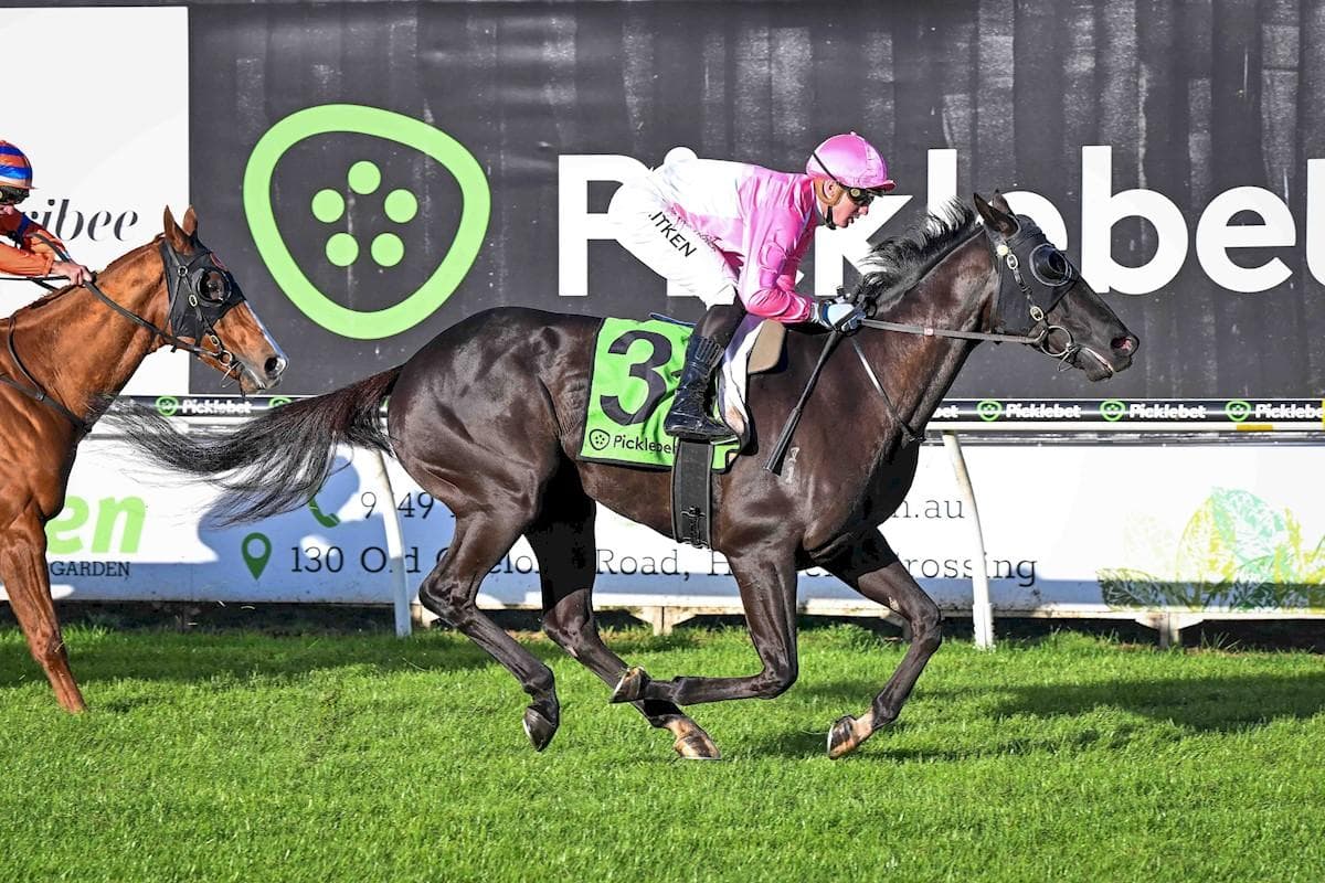 FOXY HEART CLAIMS VICTORY AT WERRIBEE