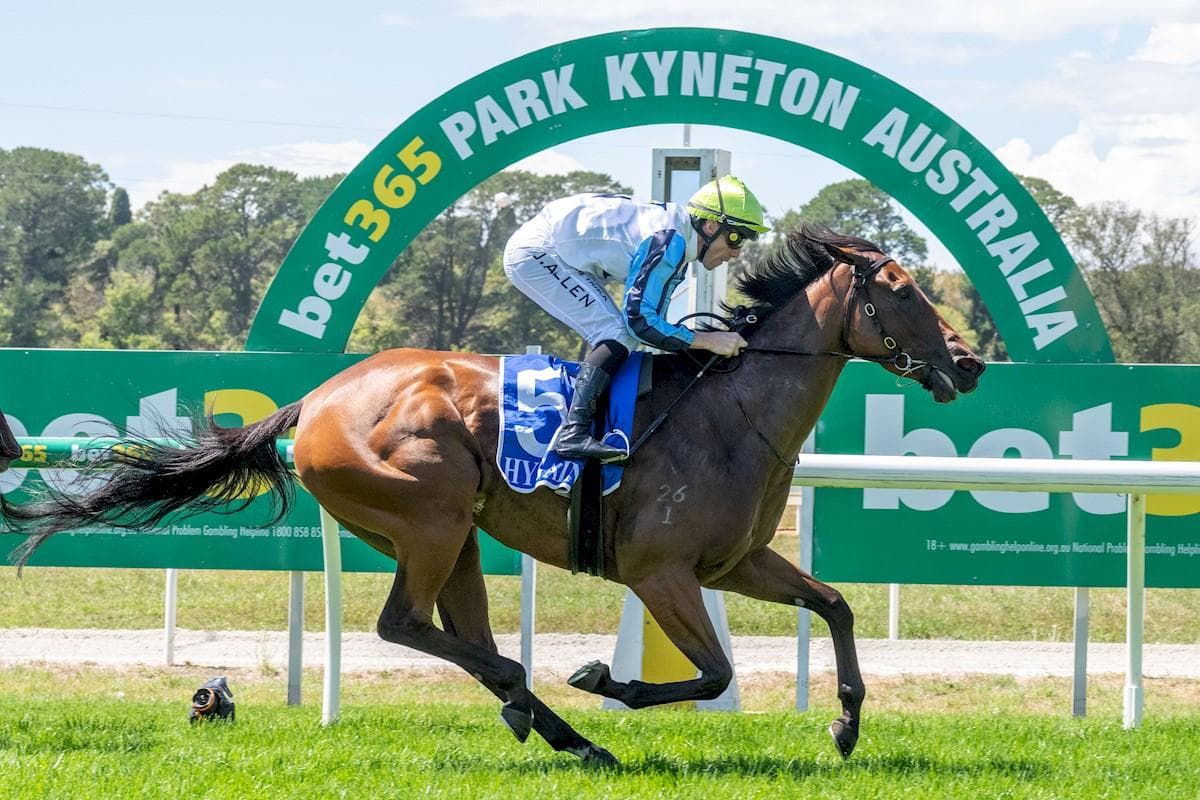 FONDLED FLIES HOME AT KYNETON