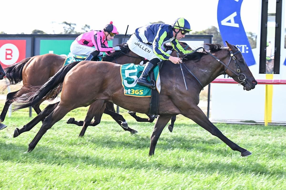 BODY OF VENUS MAKES IT A STABLE DOUBLE