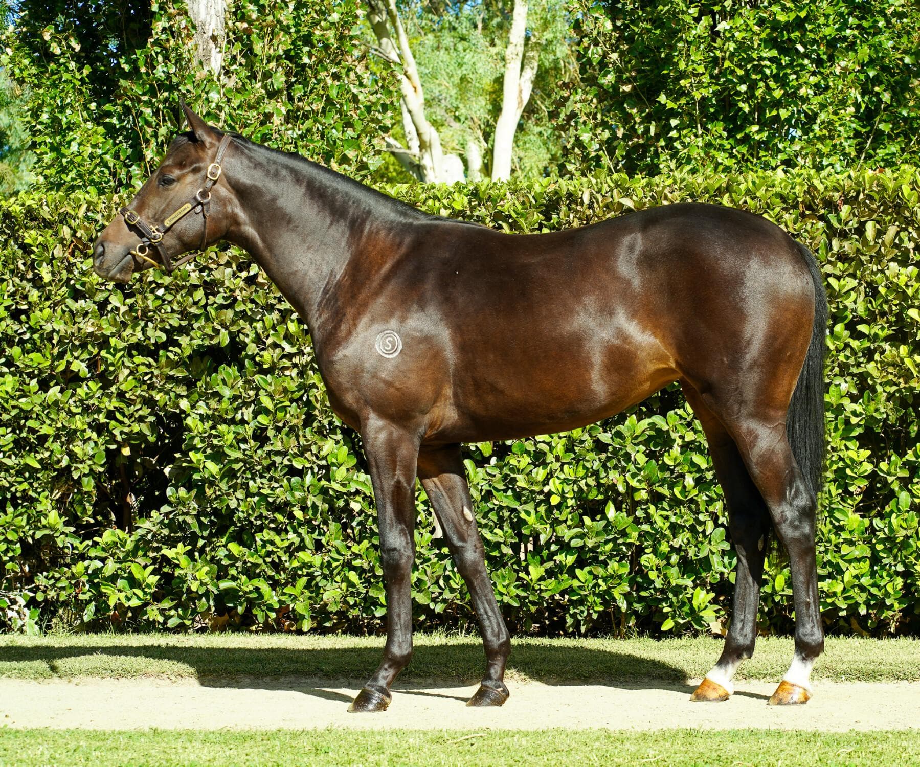 Velocity/Too Darn Hot 23