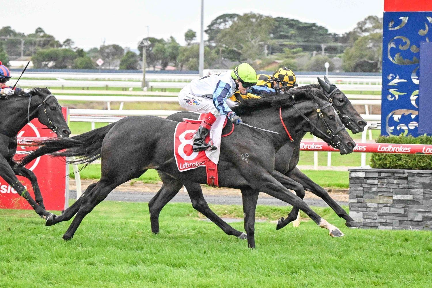 ANOTHER WIN FOR SUSSEX DUCHESS