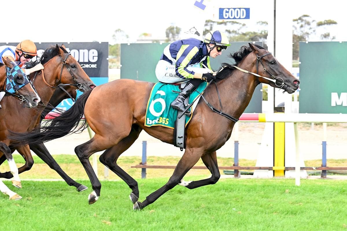 BODY OF VENUS RESUMES WITH A WIN