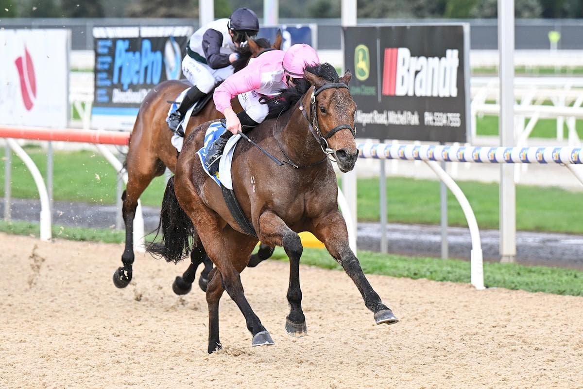 Spirited Defence Breaks Ballarat Synthetic Track Record