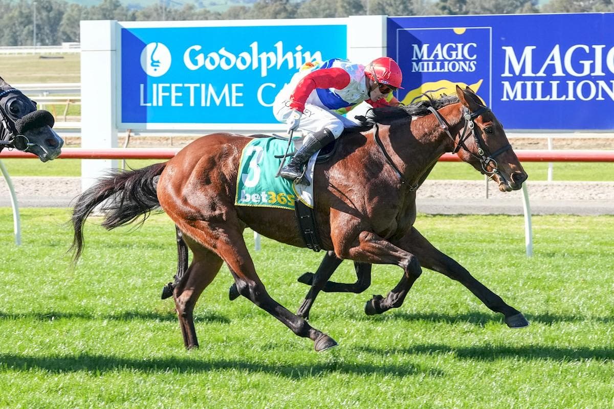 Fierce Fiasco Breaks His Maiden at Seymour