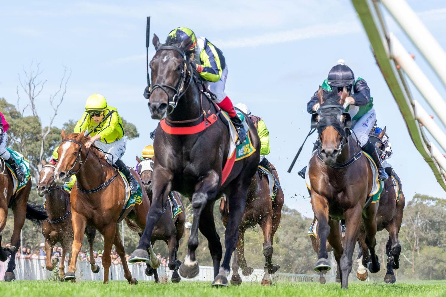 MAIDEN VICTORY FOR SISTINE EXPRESS