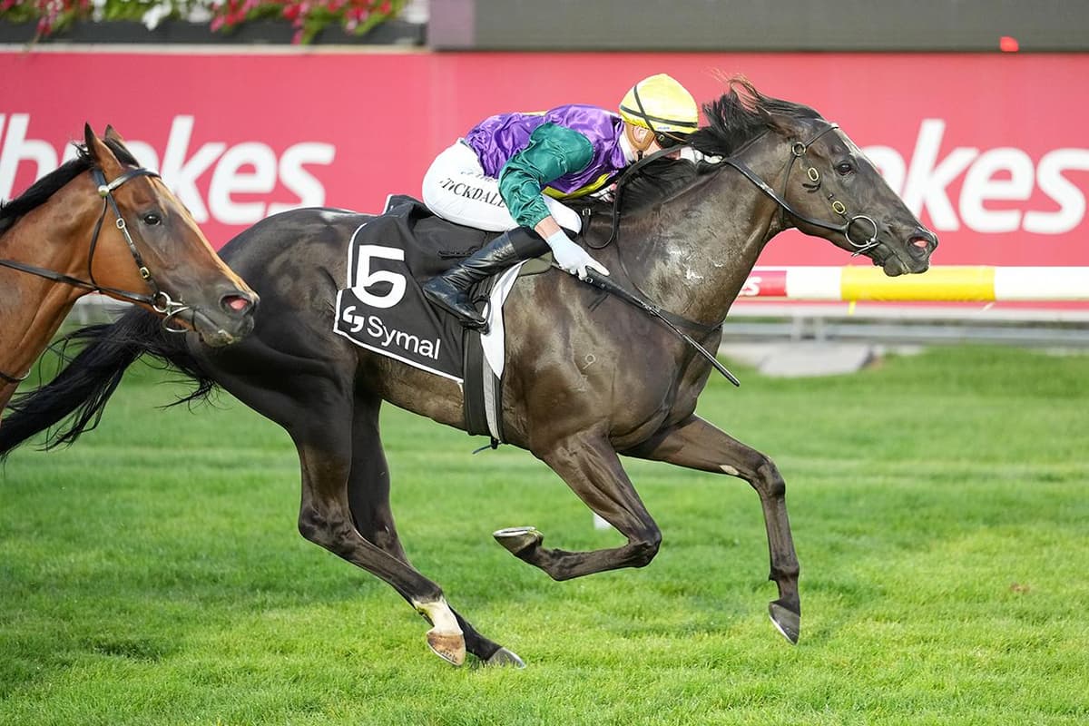FLUENT GOES BACK-TO-BACK WITH ANOTHER WIN