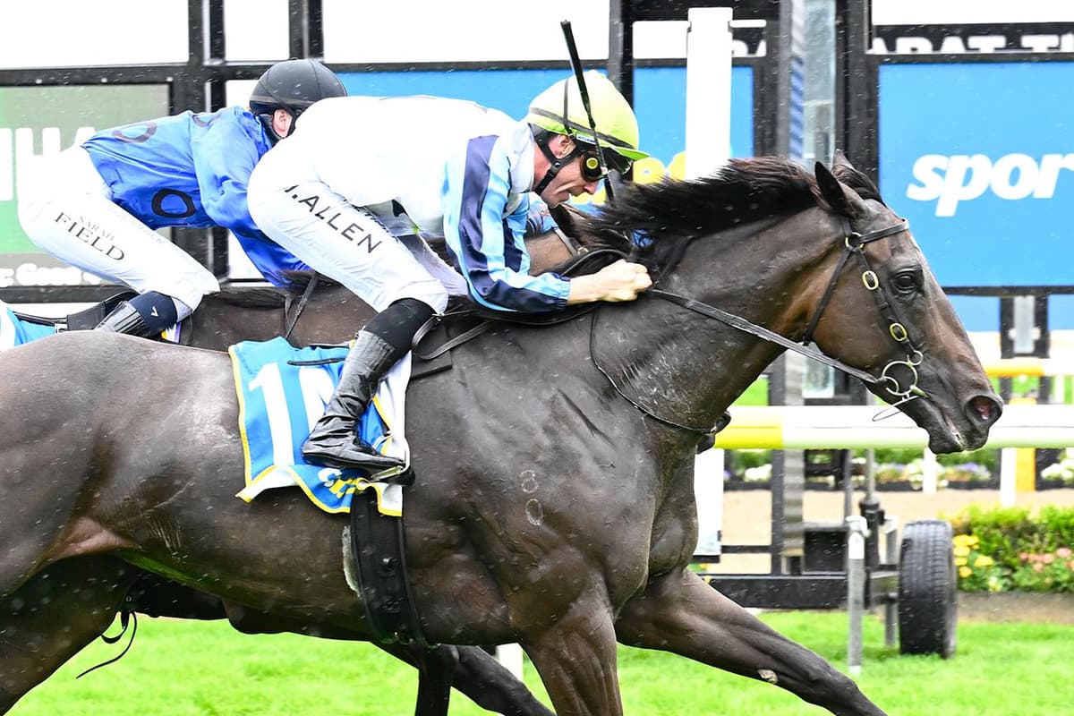 ZESHADOW FLIES HOME AT BALLARAT