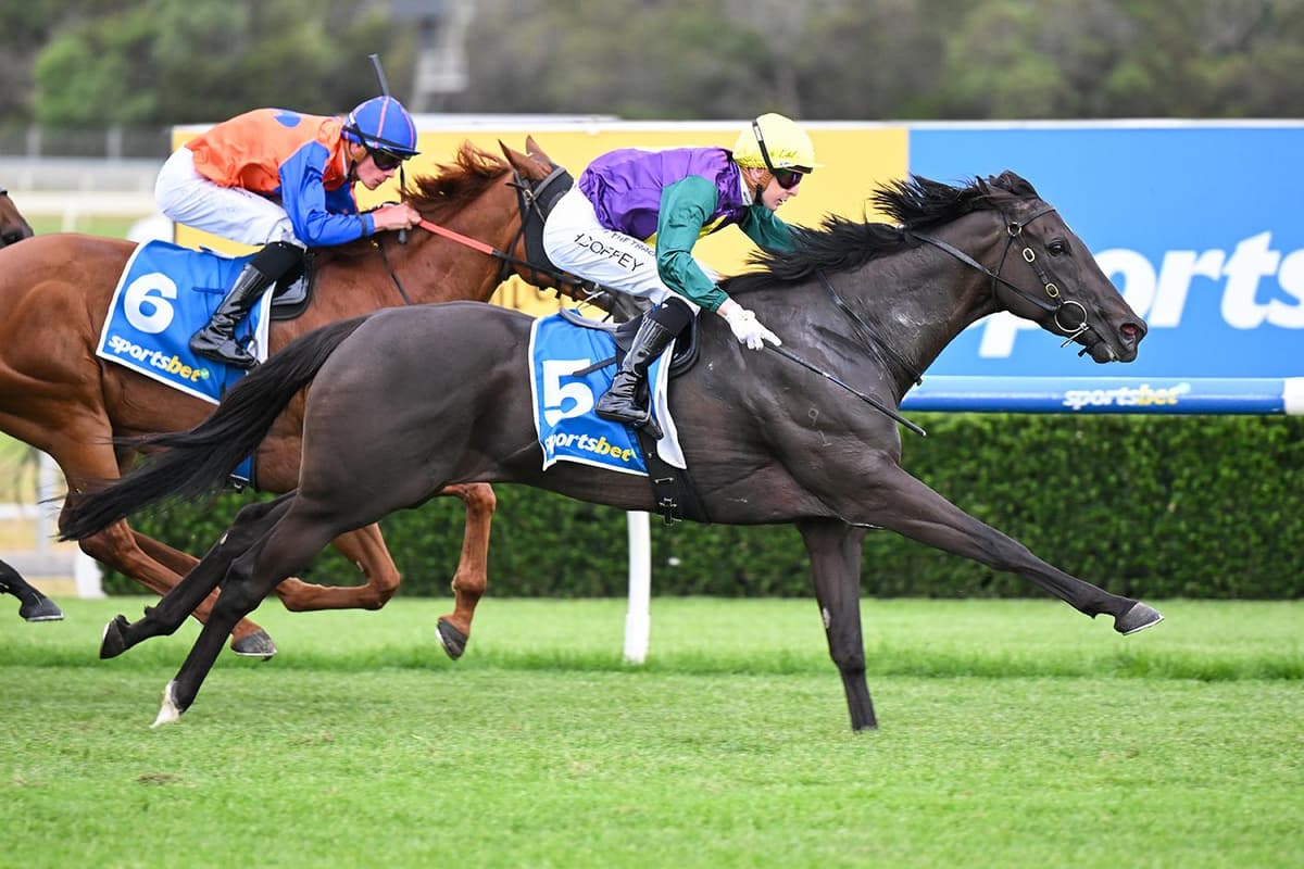 FLUENT SECURES FIRST VICTORY FOR THE FLEMINGTON STABLE