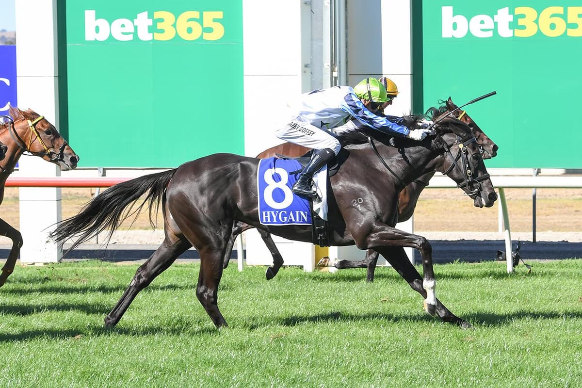 ANOTHER WIN FOR SUSSEX DUCHESS