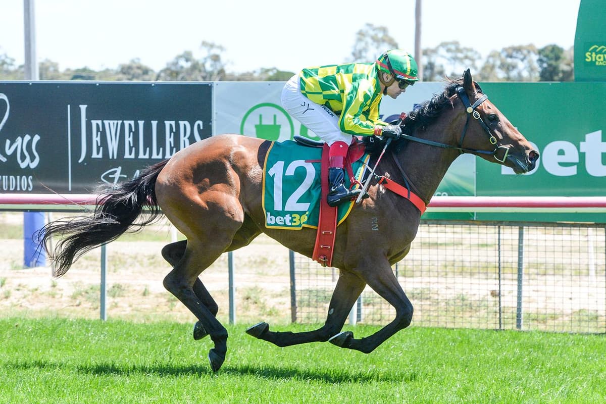 RUSSIAN CHOICE BREAKS THROUGH AT STAWELL